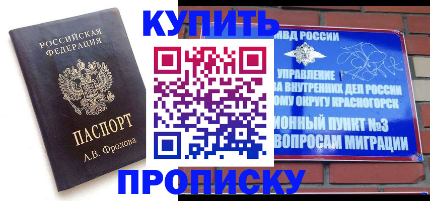 прописка поиск в Черняховске